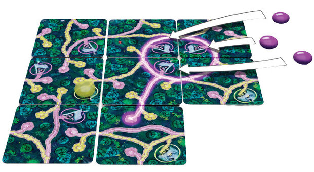 gezelschapsspel Fairy Trails&nbsp;
