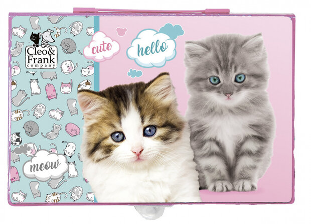 kleurset katjes meisjes 31 x 21,5 roze 68-delig