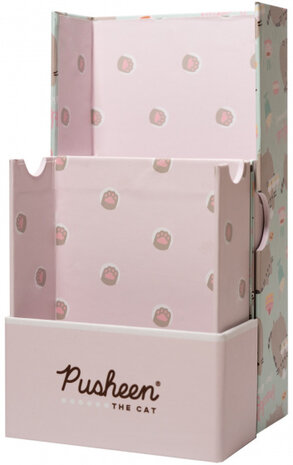 pennenbak Pusheen 22,5 x 9 cm karton roze/groen