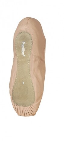 Papillon