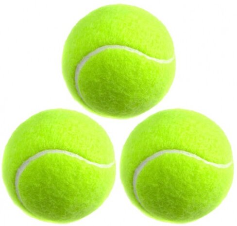 SportX