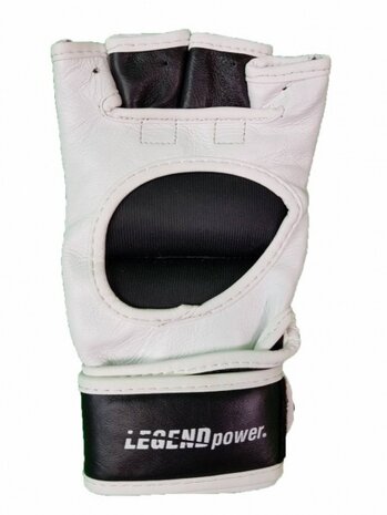 Legend Sports
