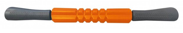 Sveltus