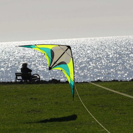 Spiderkites