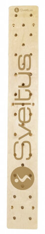 Sveltus