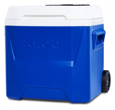 Igloo