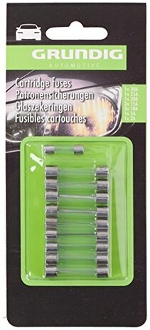 glaszekeringen assortiment snel 250 Volt 10-delig