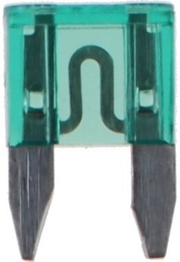 autozekeringen mini 30A groen 250 stuks