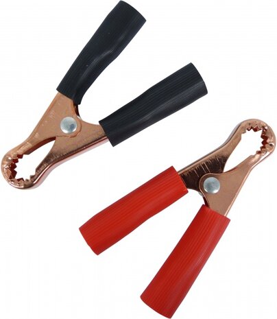 accuklemmenset (+) en (-) JIS/DIN 7-22 mm 2 stuks