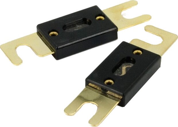 ANL zekering 300 Amp&egrave;re 2 stuks