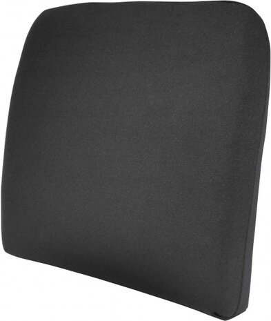 rugkussen Basic 32 x 32 cm zwart