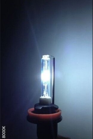 xenonlamp H1R 12 Volt 35 Watt 8000K wit per stuk