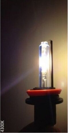 xenonlamp D3R 12 Volt 35 Watt 4300K wit per stuk