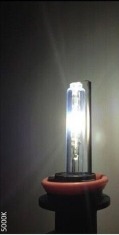 xenonlamp D4S 12 Volt 35 Watt 5000K wit per stuk