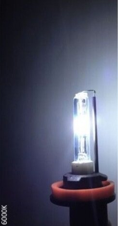 xenonlamp HIR2 12 Volt 35 Watt 6000K wit per stuk