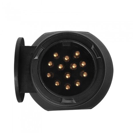 led-verlichtingsadapter 12 Volt 13-13-polig 16 cm zwart