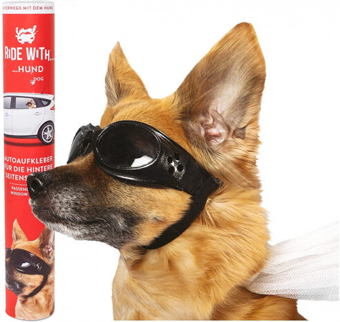 autoraamsticker Ride with Hond 30,5 x 30 cm vinyl