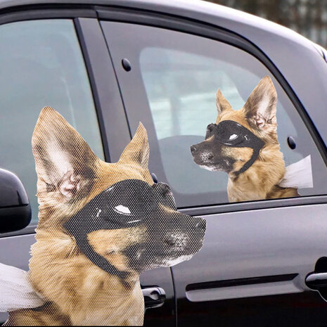 autoraamsticker Ride with Hond 30,5 x 30 cm vinyl