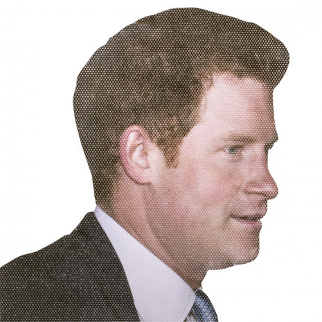 autoraamsticker Ride with Prince Harry 30,5 x 30 cm vinyl