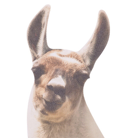 autoraamsticker Ride with Lama 30,5 x 30 cm vinyl