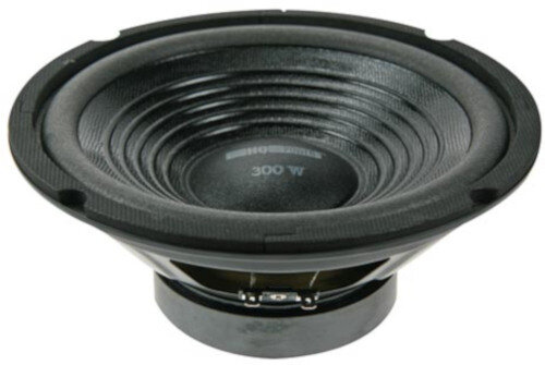 autospeaker Vdsg12 12 inch 300W RMS zwart