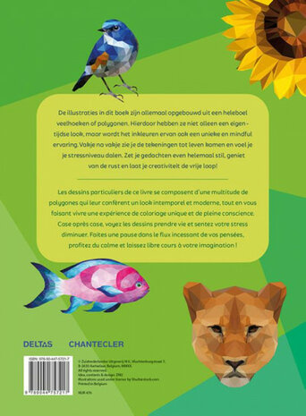 Poly Art kleurboek 28 x 20,5 cm 48 pagina&#039;s