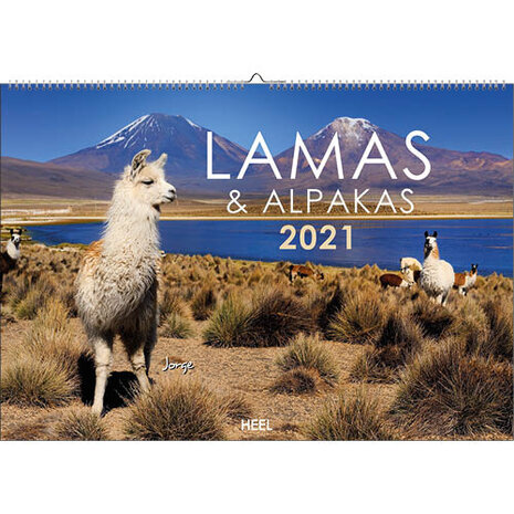 agenda Lamas &amp; Alpakas 2021 47,5 x 33 cm papier
