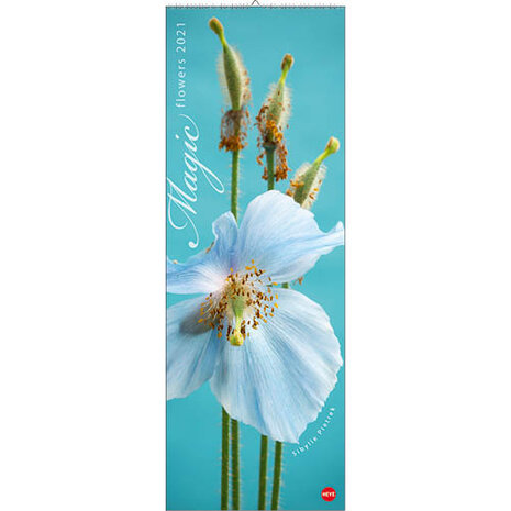 wandkalender Magic Flowers 2021 69 x 24 cm papier blauw