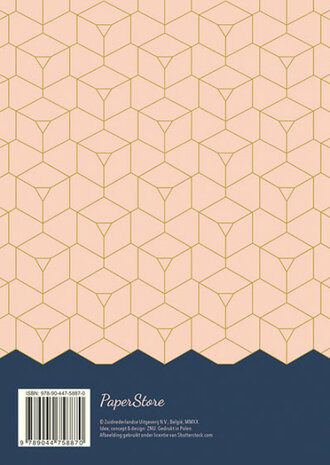 dagplanner Pink Patterns 21 x 15 cm papier