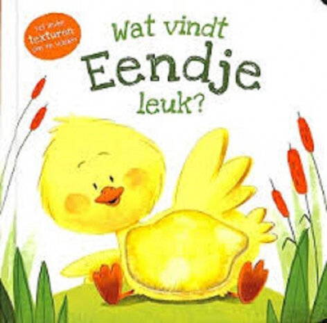 Wat vindt eendje leuk?