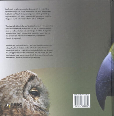 Roofvogels en uilen in Europa