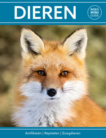 Dieren - Rebo Mini guide