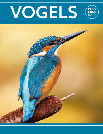 Vogels - Rebo Mini guide