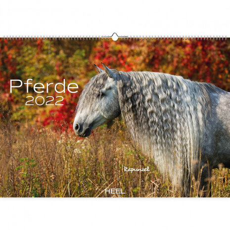 wandkalender Paarden 2022 papier 47,5 x 33 cm