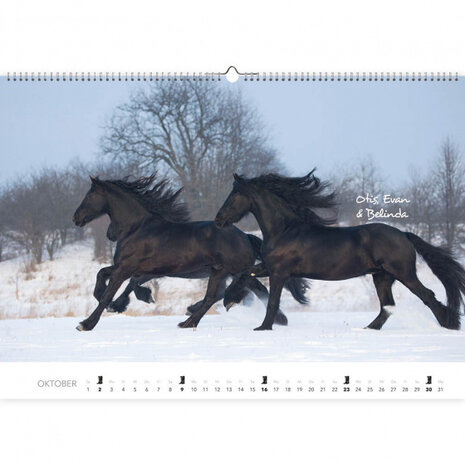 wandkalender Paarden 2022 papier 47,5 x 33 cm