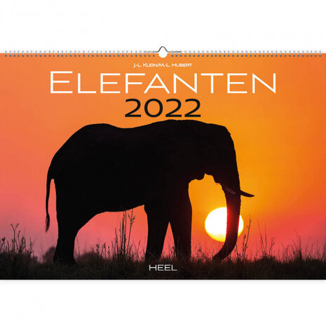 kalender Olifanten 2022 papier 47,5 x 33 cm