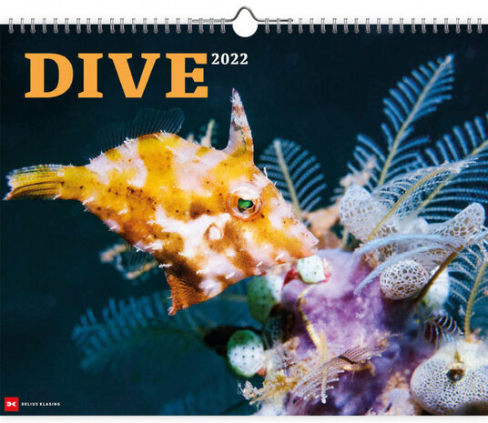 wandkalender 2022 Dive 45 x 56 cm papier