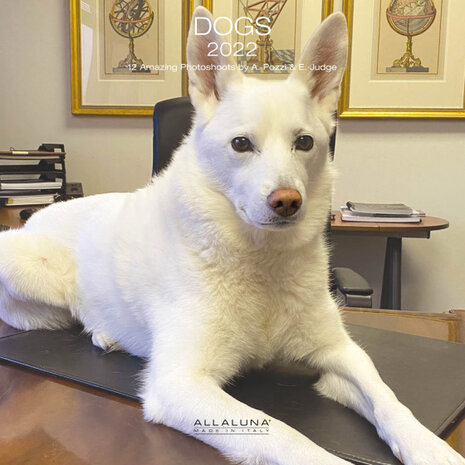 wandkalender 2022 Honden 30 x 30 cm papier