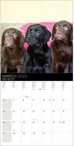 wandkalender 2022 Honden 30 x 30 cm papier