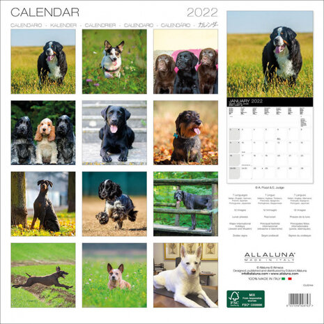 wandkalender 2022 Honden 30 x 30 cm papier