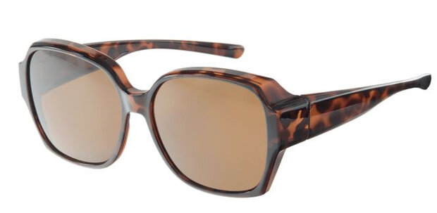 overzetzonnebril dames VZ-0050B bruin