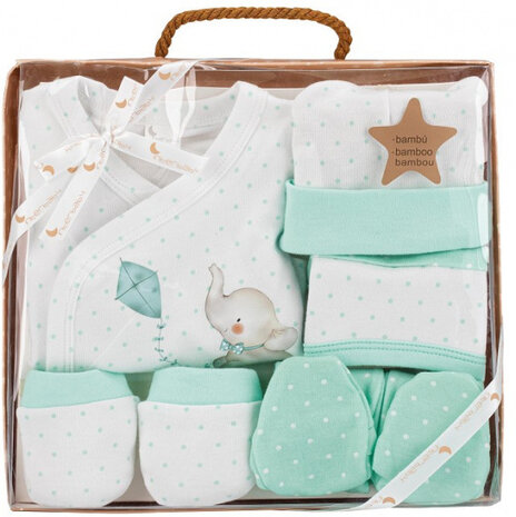babykledingset Olifant katoen mint maat 50/68 5-delig