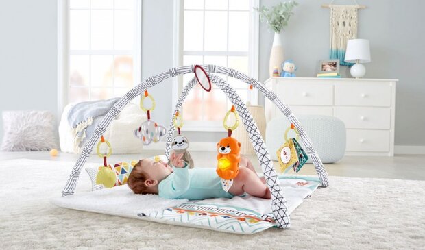 deluxe perfect sense babygym 67 cm