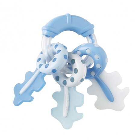 rammelaar sleutels met buitring blauw