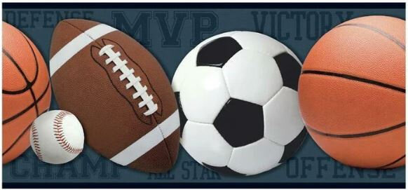 muursticker Sportballen 4,57 meter vinyl