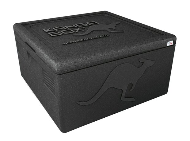 thermobox Pizza Small 32 liter