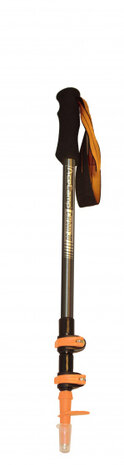 wandelstokken carbon extern slot 2 stuks