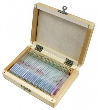 preparatenset Mens 7,6 cm glas transparant 31-delig
