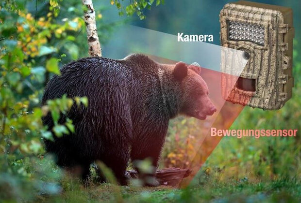wildcamera 8MP 55&deg; PIR Sensor 10,6 x 14 cm bruin