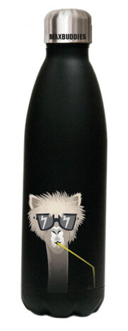 thermosfles Dave junior 26,5 cm RVS 500 ml